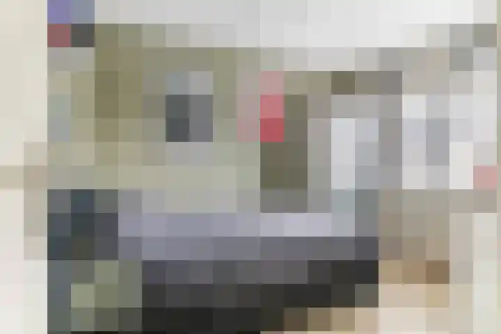 Klaverpas 15 A Druten thumbnail 21