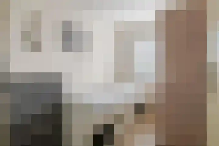 Klaverpas 15 A Druten thumbnail 23