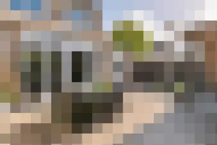 Klaverpas 15 A Druten thumbnail 29