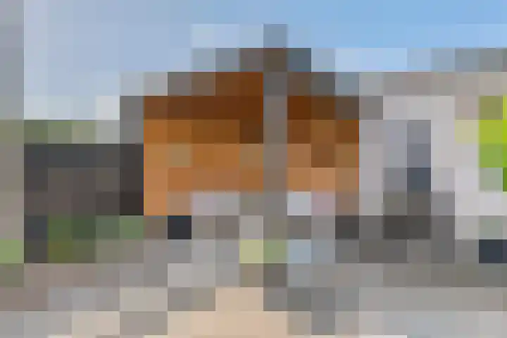 Klaverpas 15 A Druten thumbnail 30