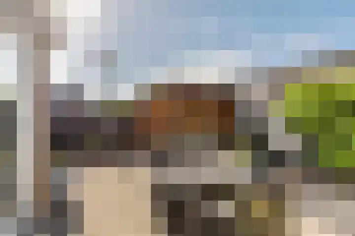 Klaverpas 15 A Druten thumbnail 31