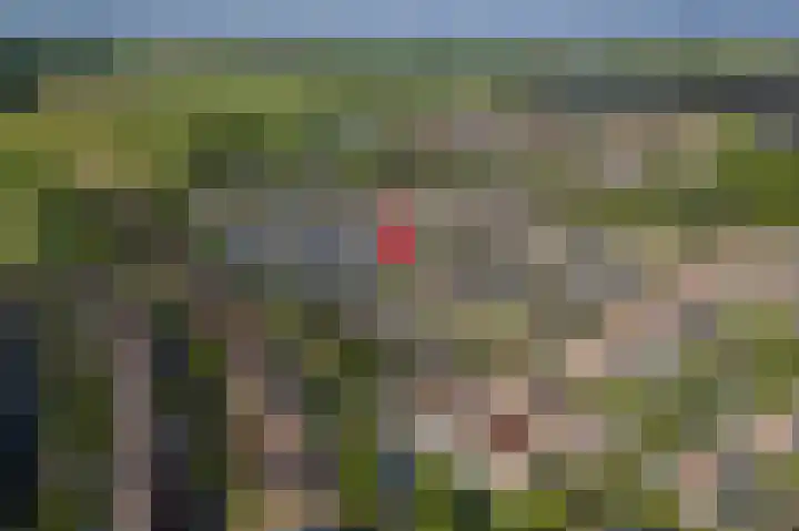 Klaverpas 15 A Druten thumbnail 36