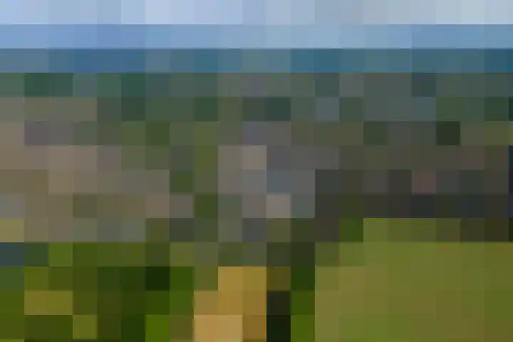 Klaverpas 15 A Druten thumbnail 37