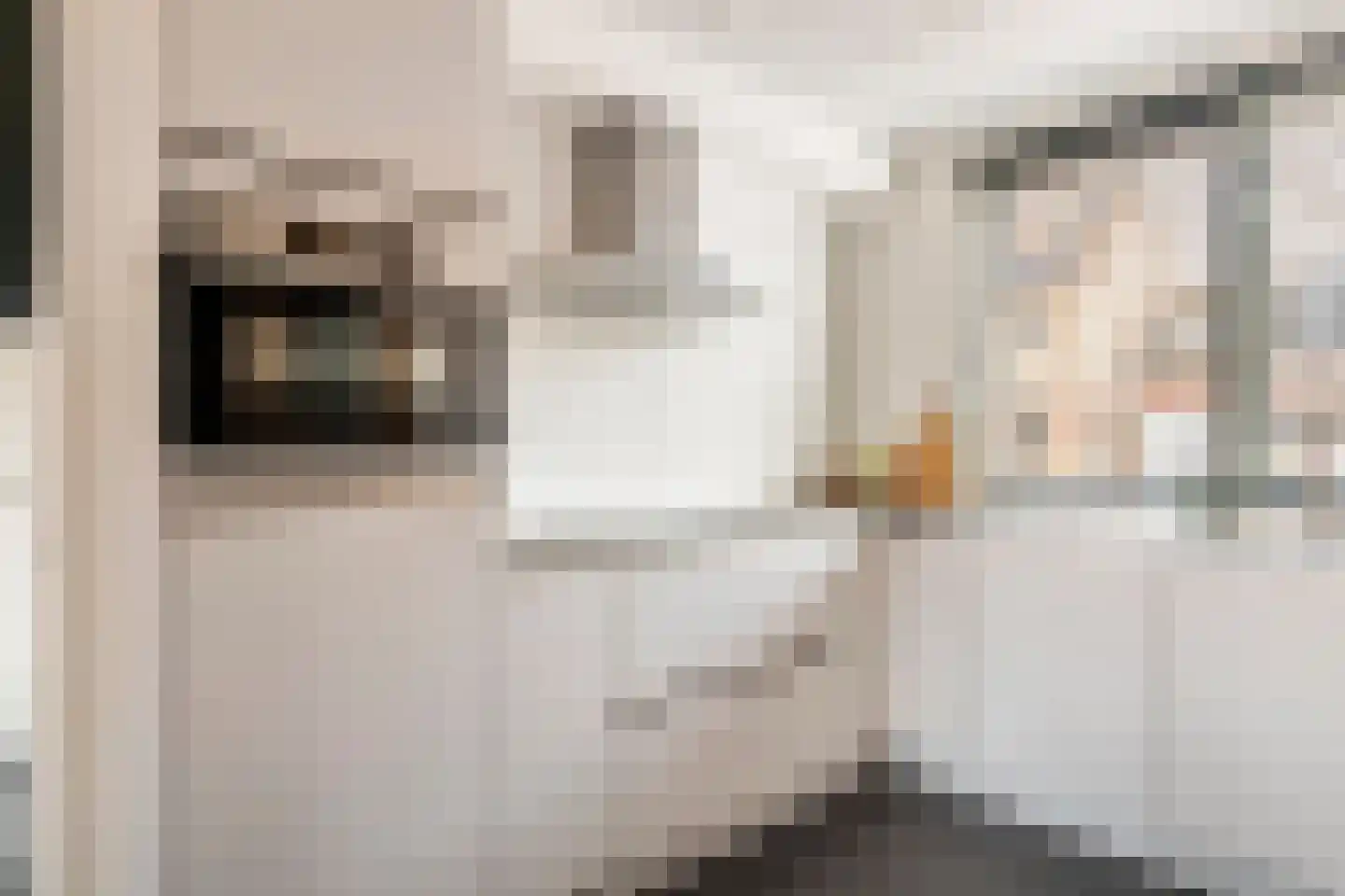 Klaverpas 15 Druten thumbnail 13