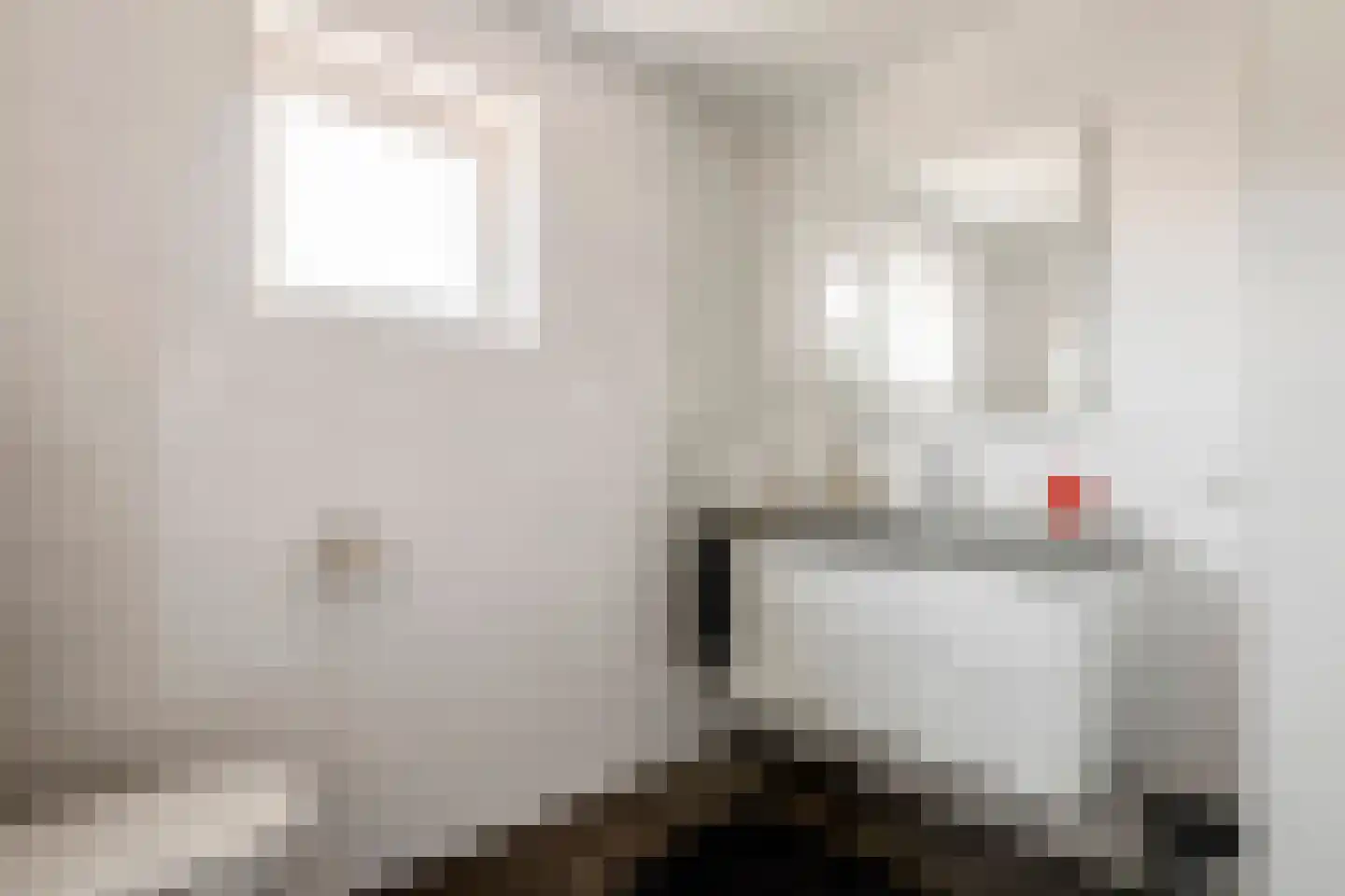 Klaverpas 15 Druten thumbnail 26