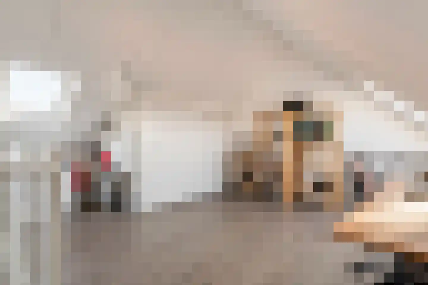 Klaverpas 15 Druten thumbnail 28