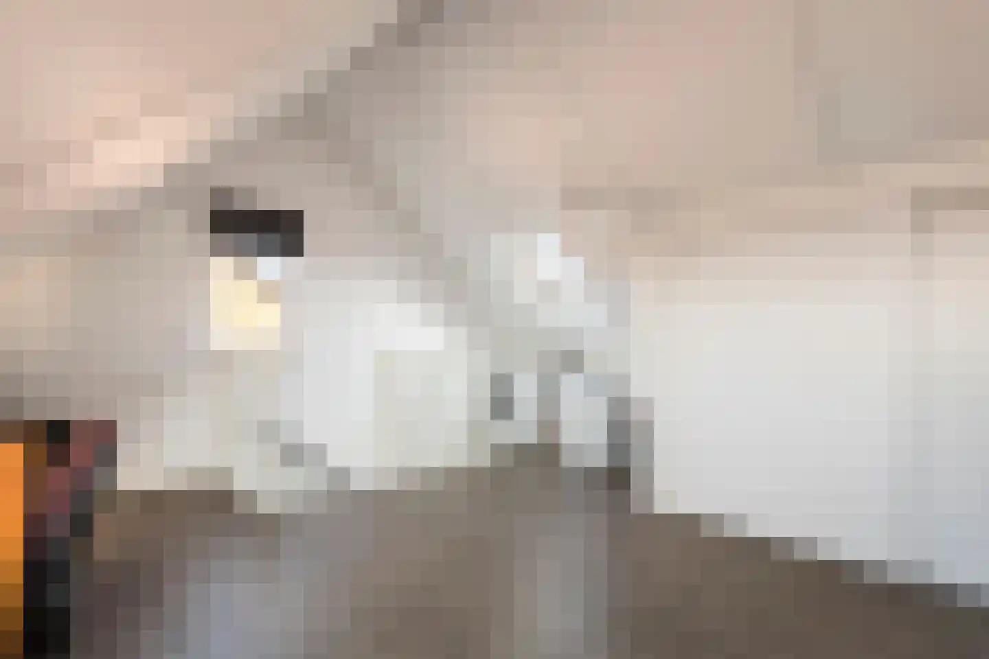 Klaverpas 15 Druten thumbnail 30