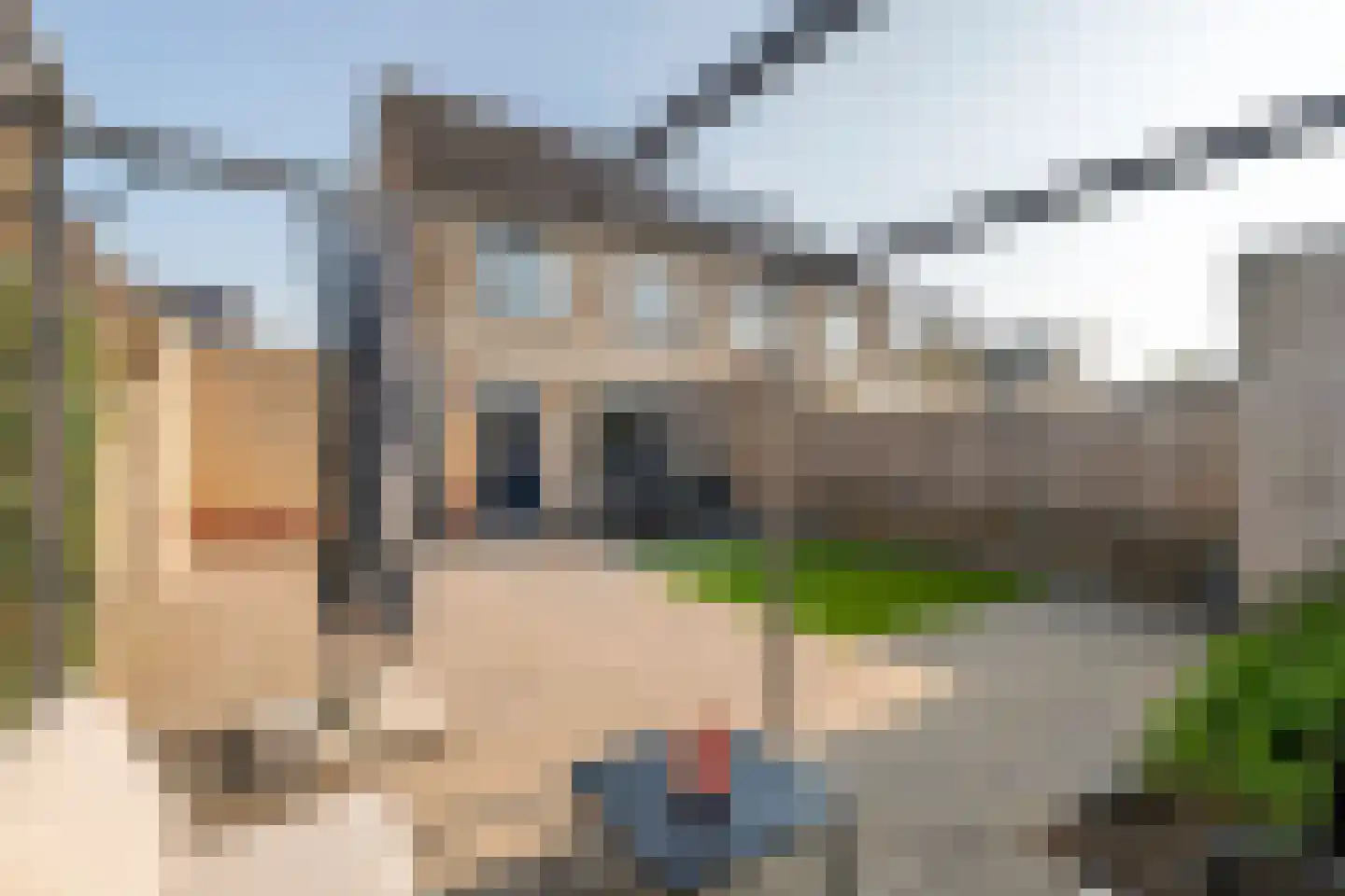 Klaverpas 15 Druten thumbnail 34