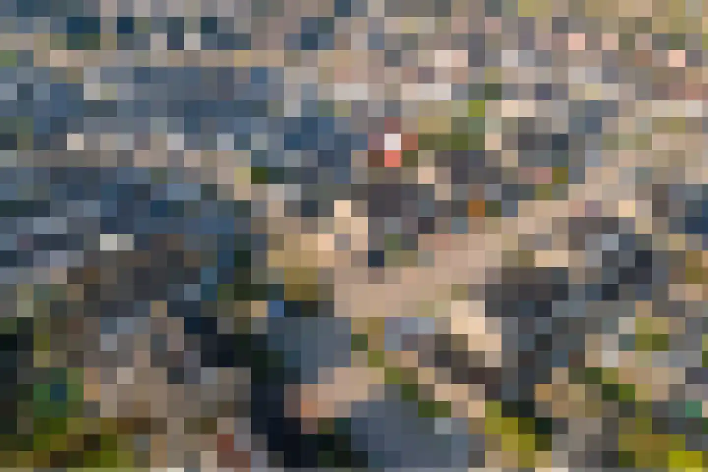 Klaverpas 15 Druten thumbnail 37