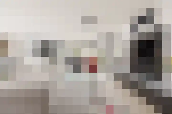Klaverpas 27 Druten thumbnail 21