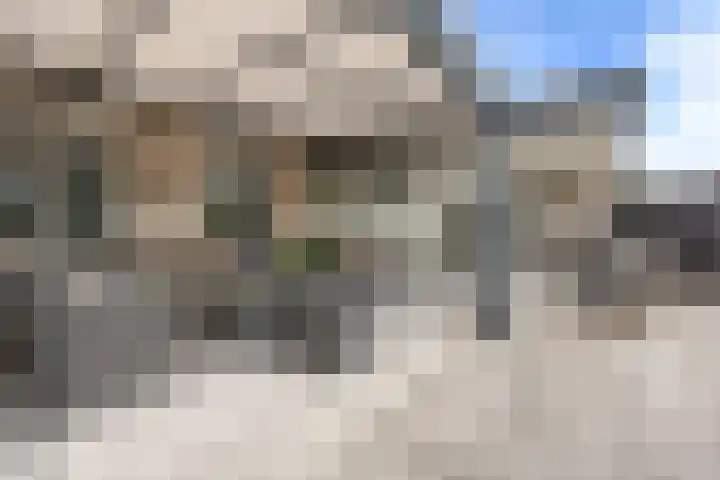 Klaverpas 27 Druten thumbnail 37
