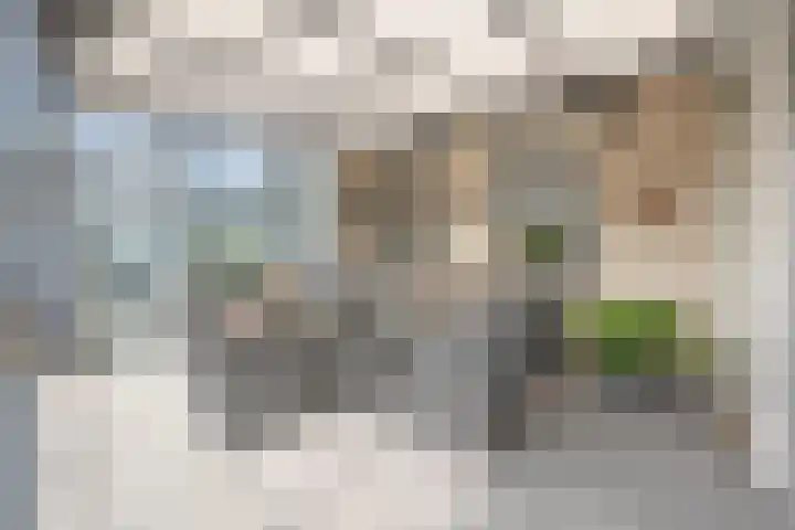 Klaverpas 27 Druten thumbnail 38