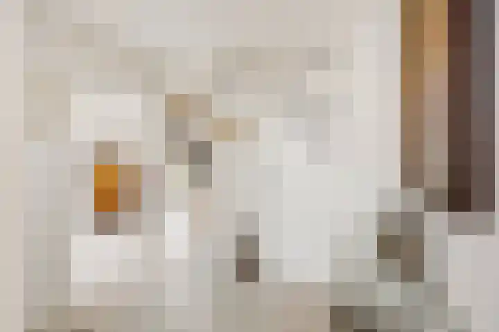 Klaverpas 27 Druten thumbnail 7