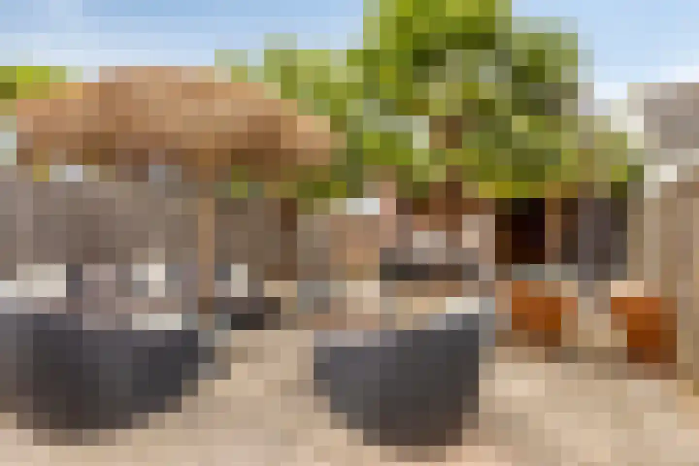 Klaverplein 11 Veldhoven thumbnail 18