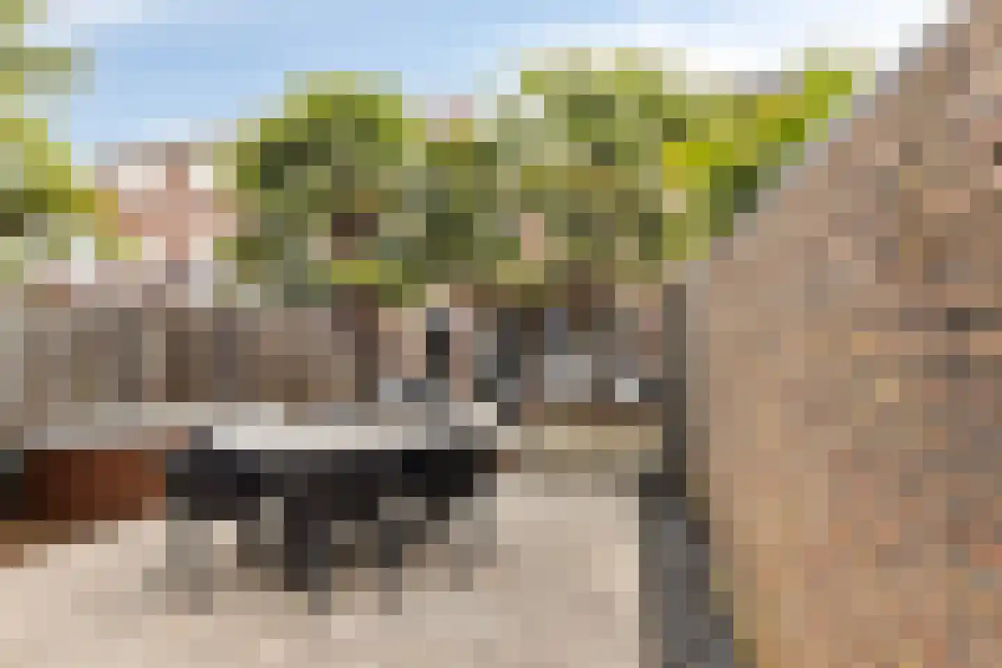 Klaverplein 11 Veldhoven thumbnail 23