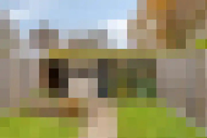 Klaverplein 20 Veldhoven thumbnail 18