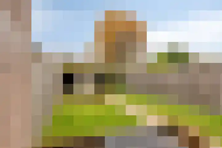 Klaverplein 20 Veldhoven thumbnail 22