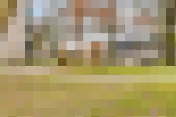Klaverplein 20 Veldhoven thumbnail 25
