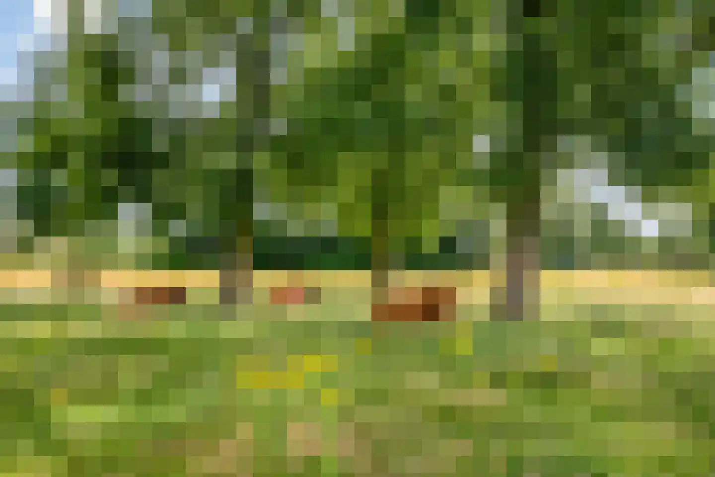 Klaverplein 46 Elburg thumbnail 30