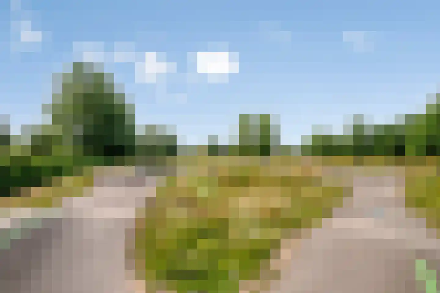 Klaverplein 46 Elburg thumbnail 33