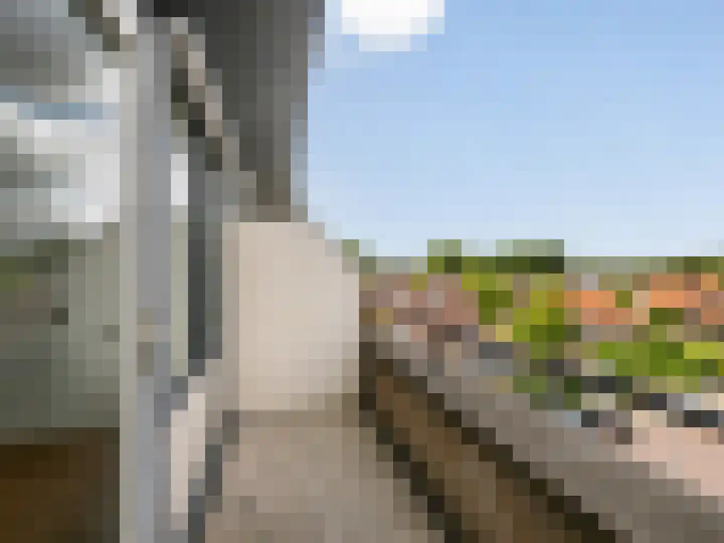 Klaverplein 46 Elburg thumbnail 4