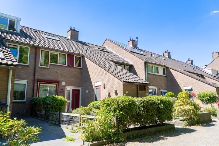 Klaverruiter 10 in Hellevoetsluis Foto