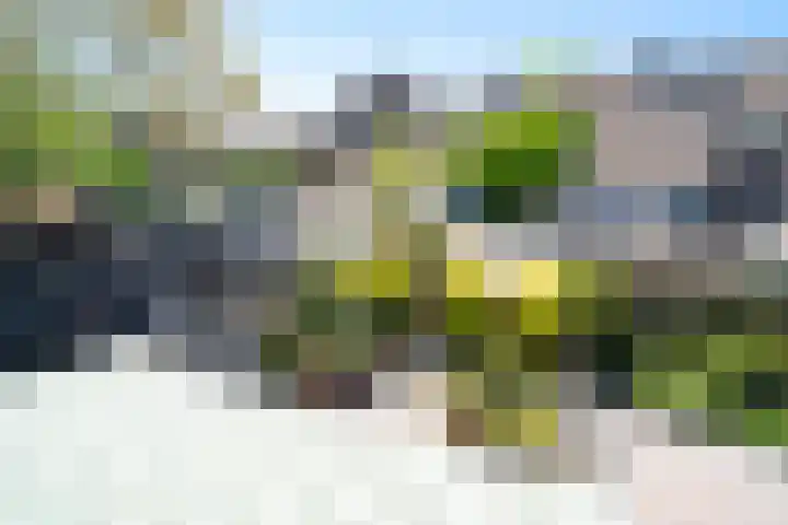 Klaverruiter 10 Hellevoetsluis thumbnail 22