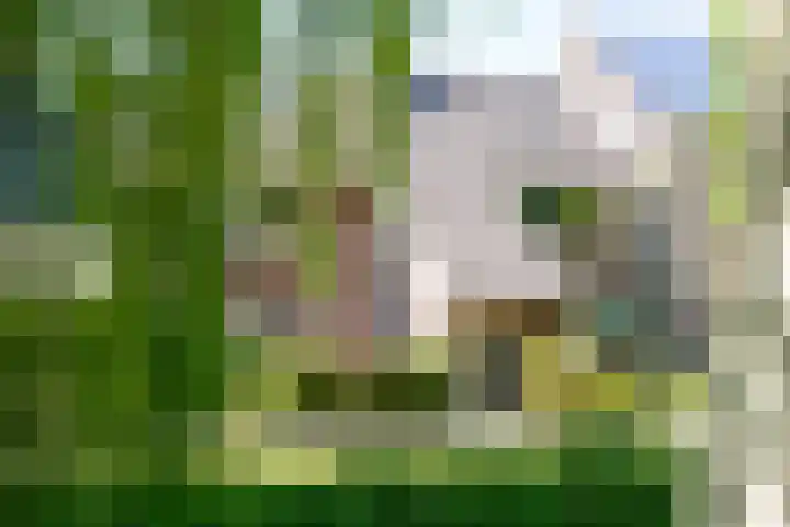 Klaverruiter 10 Hellevoetsluis thumbnail 46
