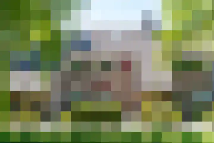 Klaverruiter 10 Hellevoetsluis thumbnail 47
