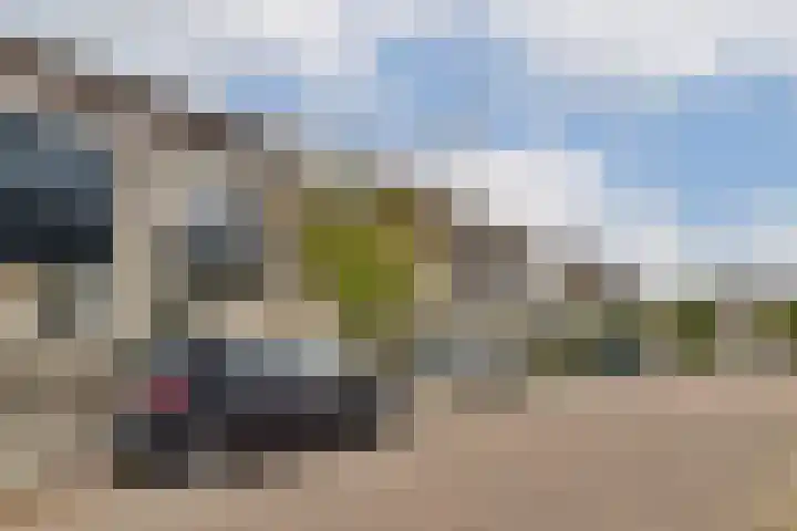 Klaverruiter 10 Poortugaal thumbnail 15