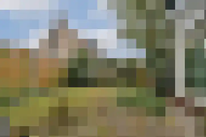 Klaverruiter 10 Poortugaal thumbnail 16