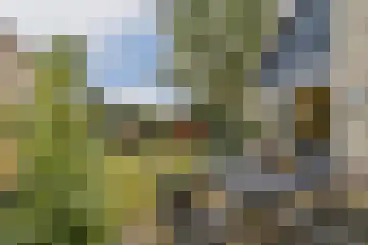 Klaverruiter 10 Poortugaal thumbnail 17