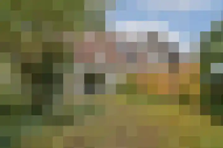 Klaverruiter 10 Poortugaal thumbnail 18