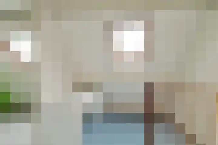 Klaverruiter 10 Poortugaal thumbnail 30