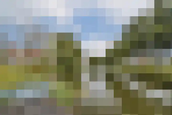 Klaverruiter 10 Poortugaal thumbnail 32