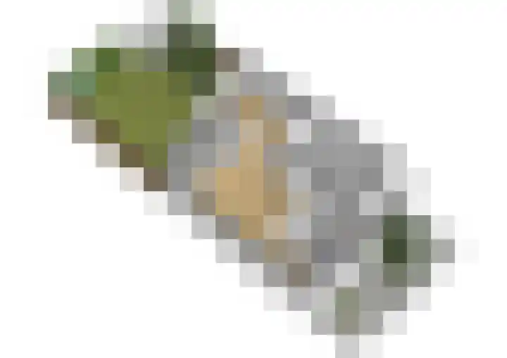 Klaverruiter 10 Poortugaal thumbnail 37