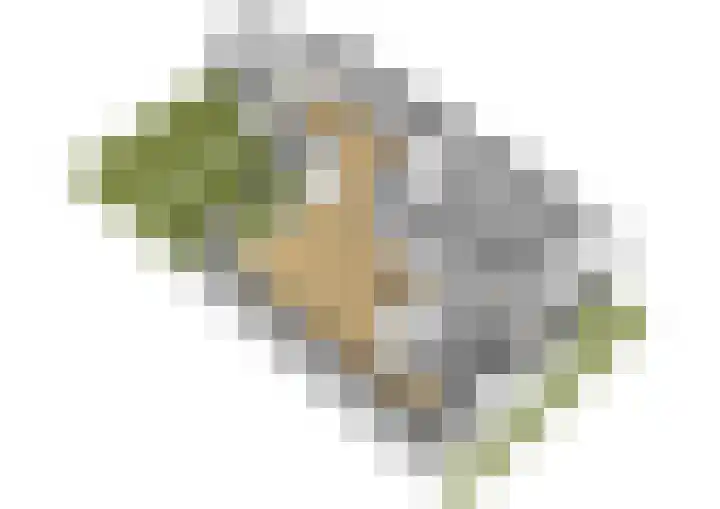 Klaverruiter 10 Poortugaal thumbnail 38