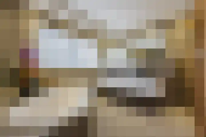 Klaverruiter 14 Hellevoetsluis thumbnail 19