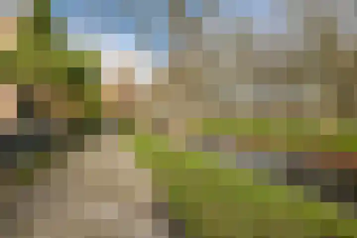 Klaverruiter 14 Hellevoetsluis thumbnail 36