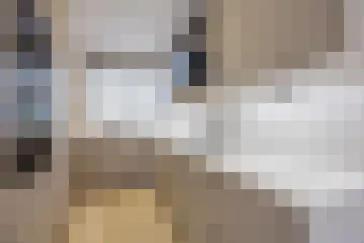 Klaverruiter 14 Hellevoetsluis thumbnail 9