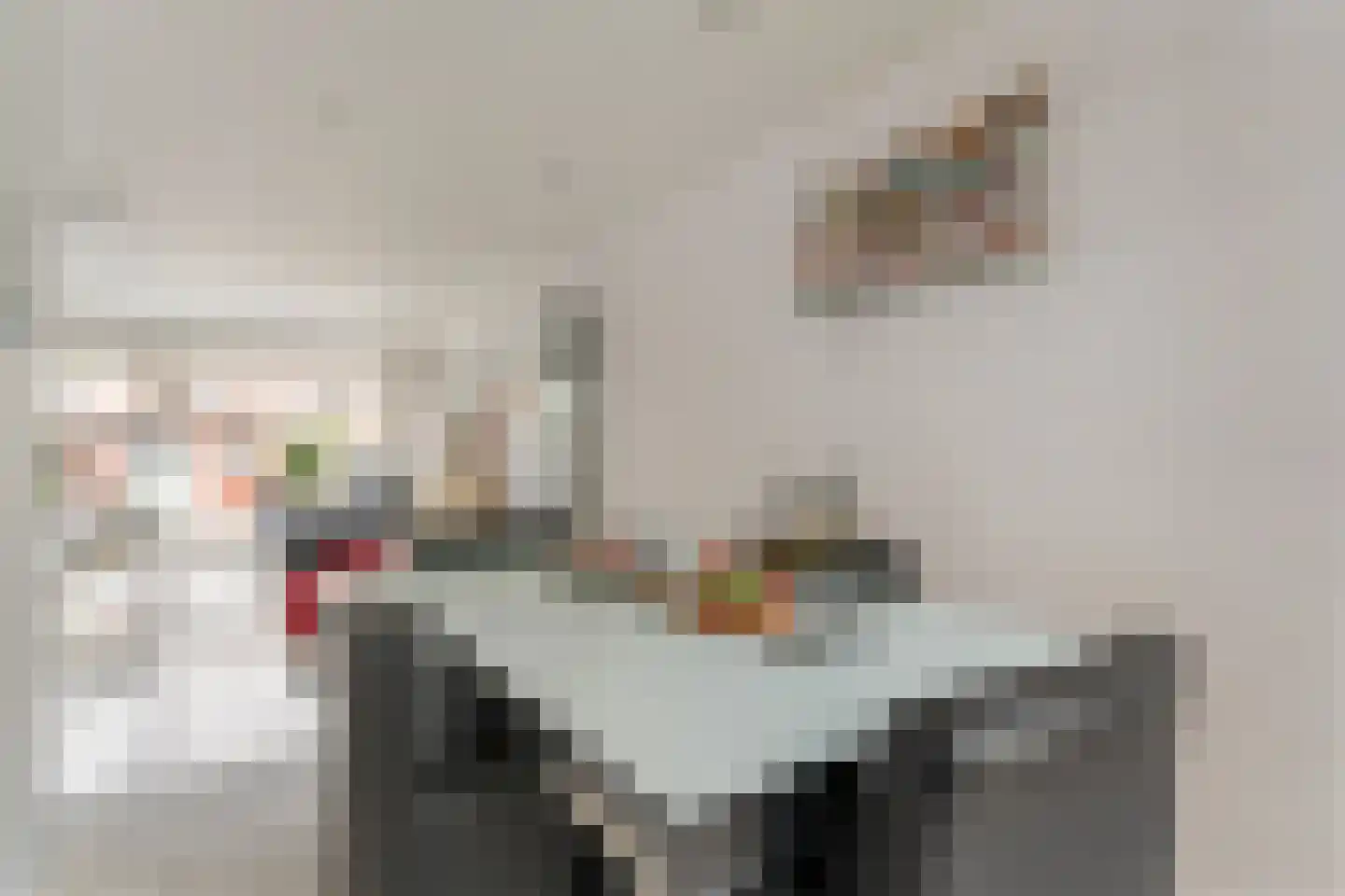 Klaverruiter 3 Hellevoetsluis thumbnail 14