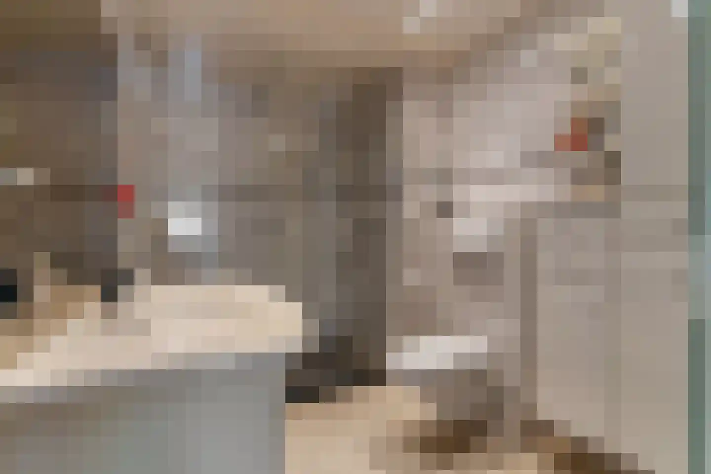 Klaverruiter 3 Hellevoetsluis thumbnail 33