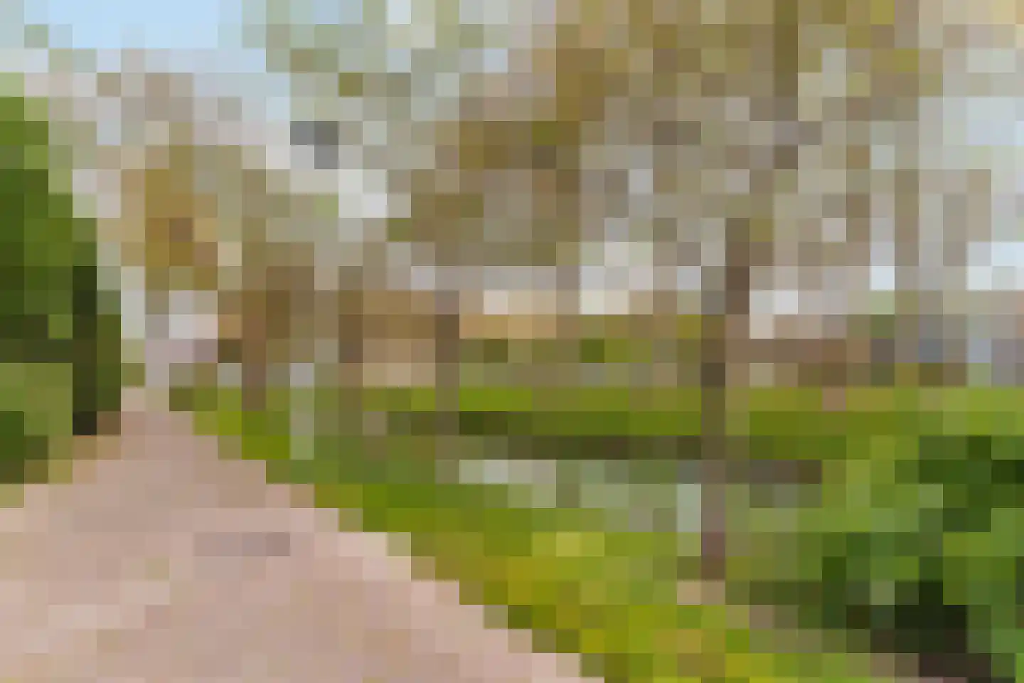 Klaverruiter 3 Hellevoetsluis thumbnail 39