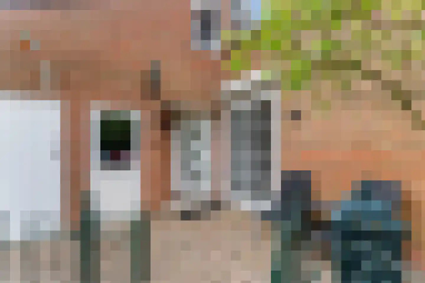 Klaverruiter 3 Hellevoetsluis thumbnail 6