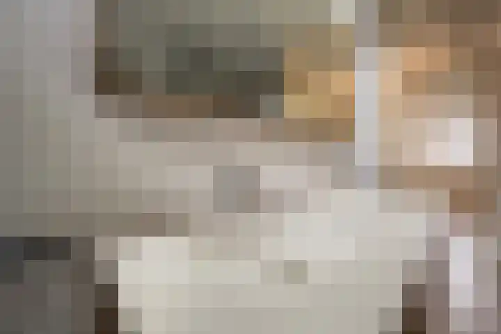 Klaverruiter 31 Poortugaal thumbnail 31