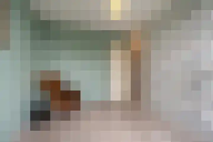 Klaverruiter 31 Poortugaal thumbnail 35