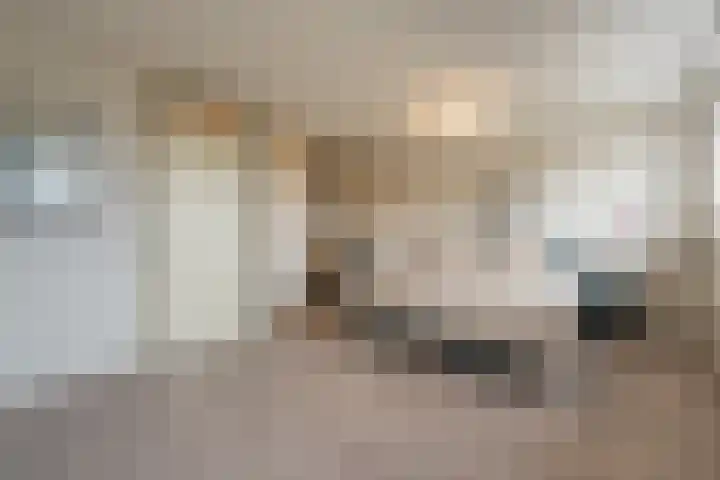 Klaverruiter 31 Poortugaal thumbnail 39