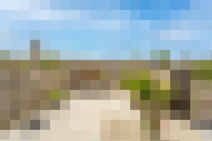 Klaverruiter 31 Poortugaal thumbnail 53