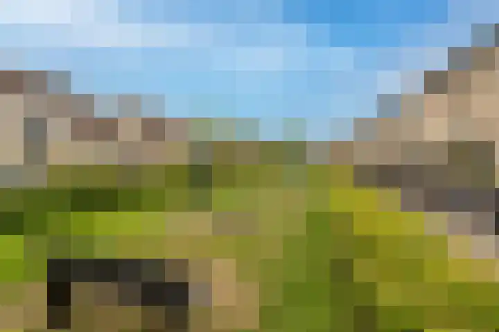 Klaverruiter 31 Poortugaal thumbnail 7