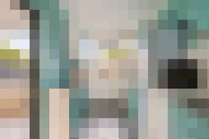 Klaversingel 59 Biddinghuizen thumbnail 16